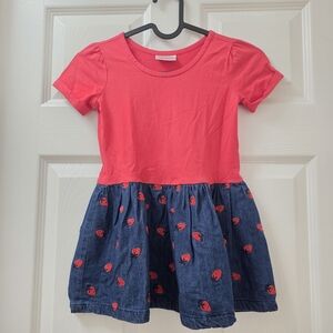 Hanna Andersson Red and Blue Ladybug Dress